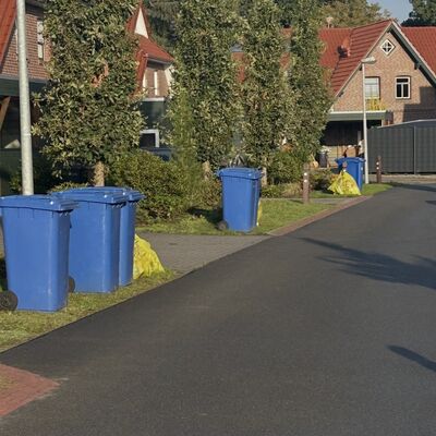 Bild vergr&ouml;&szlig;ern: Papiertonnen Bereitstellung
