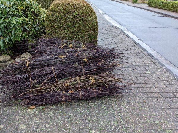 Bereitstellung von Ast- und Strauchwerk