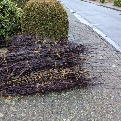 Bereitstellung von Ast- und Strauchwerk